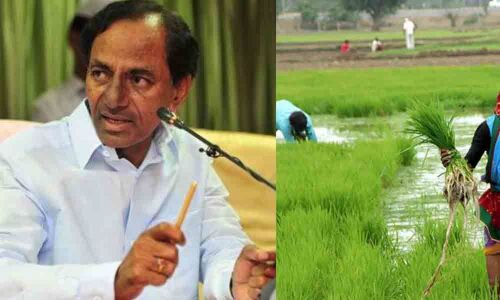 Farmers kin seek KCRs help to get control of their land in Gadwal