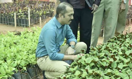 Warangal: Prisons nursery is one of the biggest in Telangana