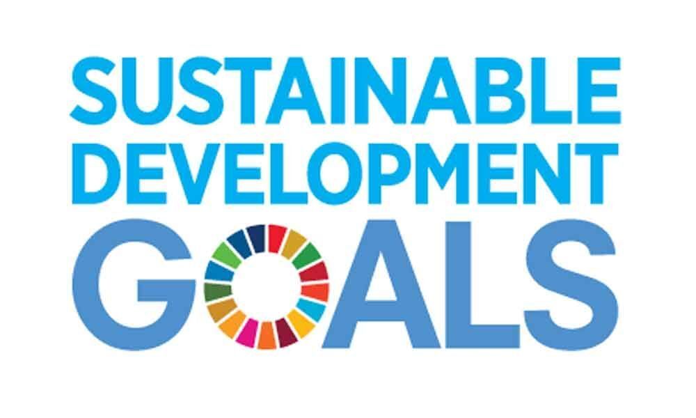 India finding funds crunch to achieve SDGs