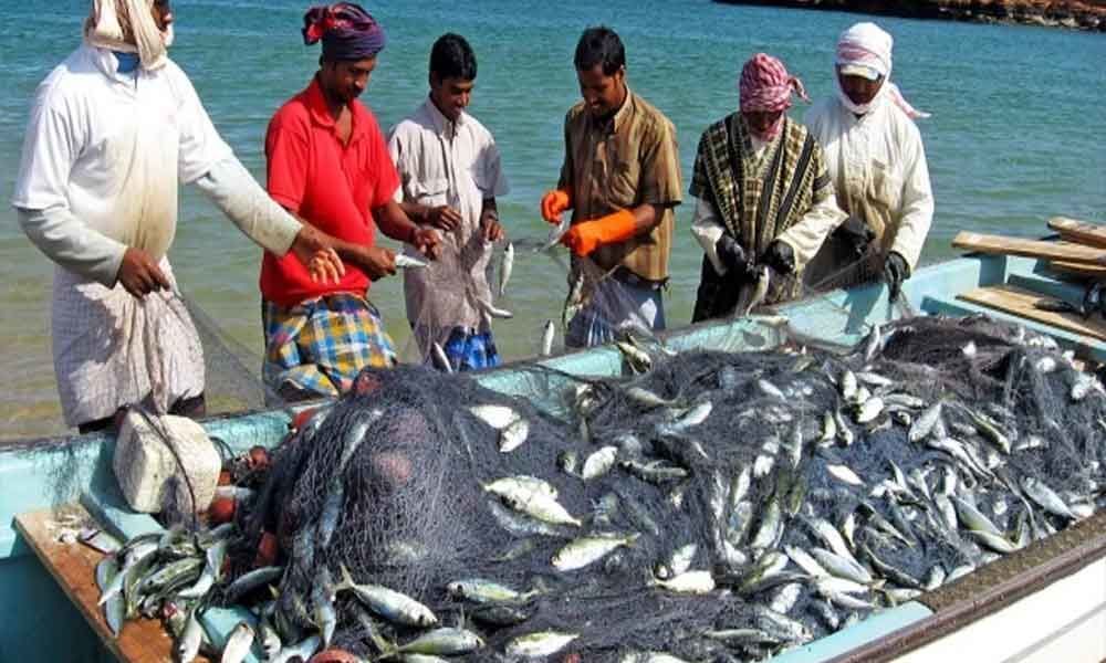 Scheme to modernize fishery sector: Nirmala Sitharaman