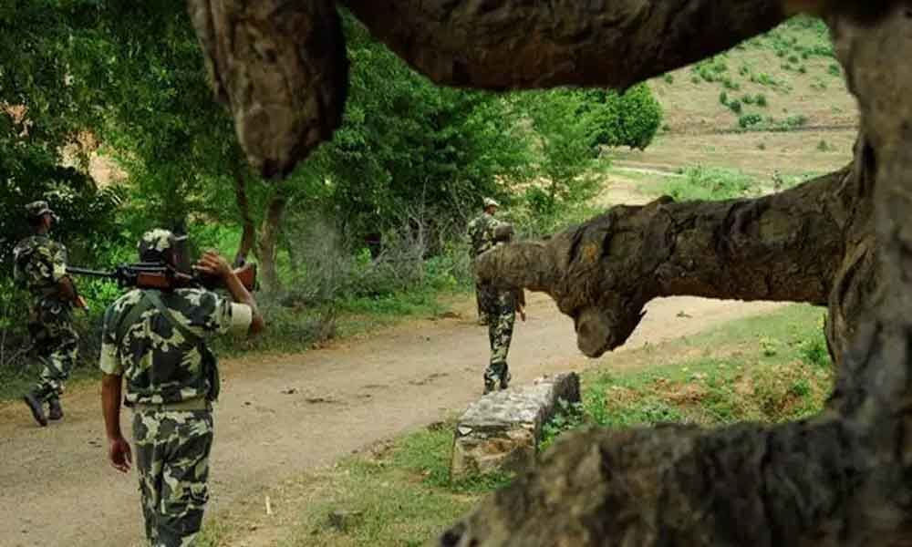 Hizbul Mujahideen terrorist killed in encounter with security forces in  Shopian