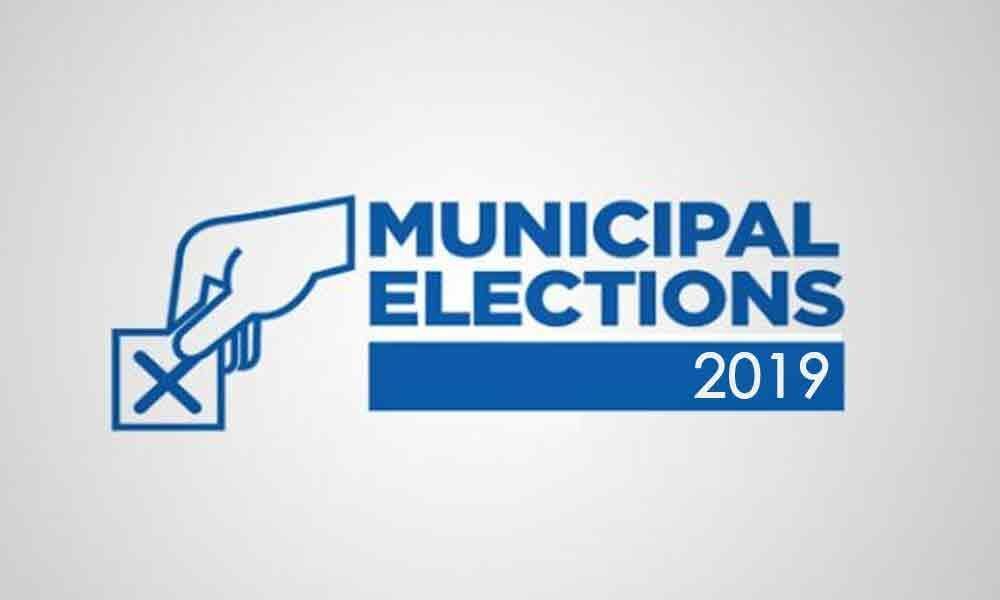 Municipal elections likely in mid-August