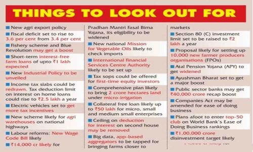 Jai Kisan! Big farm push expected in first Budget of Modi 2.0