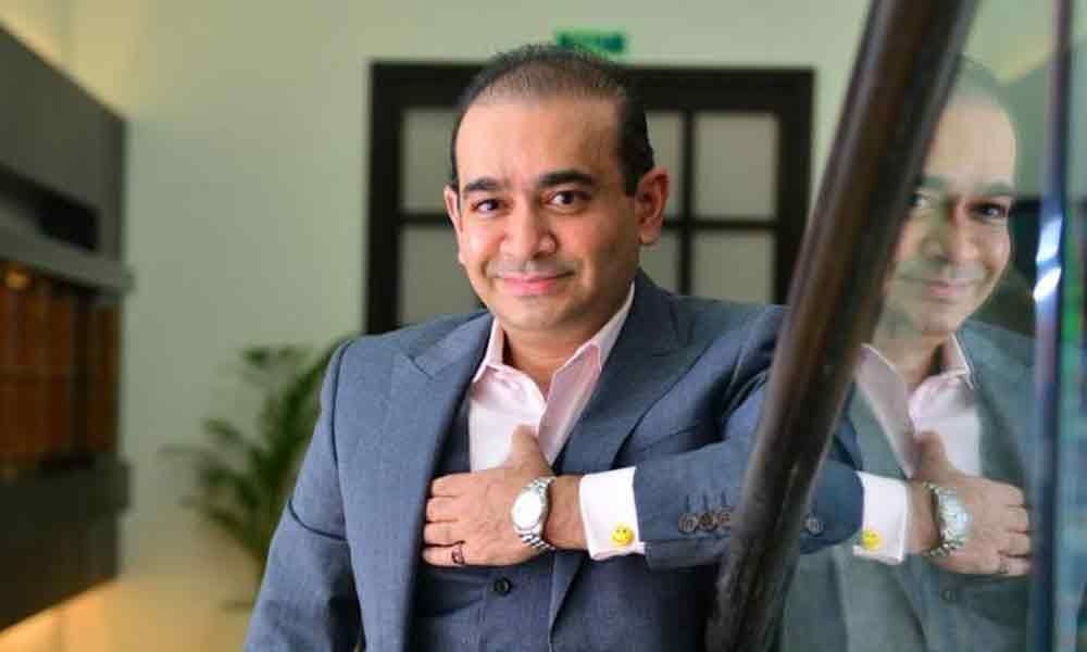 Punes Debt Recovery Tribunal directs Nirav Modi to pay Rs 7300 crore with interest to PNB