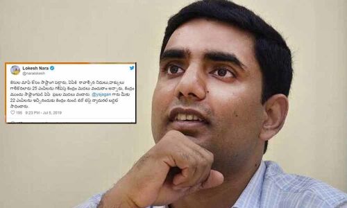 Nara Lokesh comments on Union budget 2019