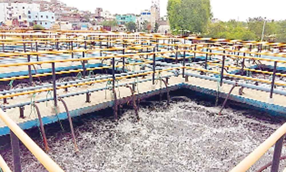 Despite Sewerage Treatment Plants, Mir Alam Lake getting clogged by effluents
