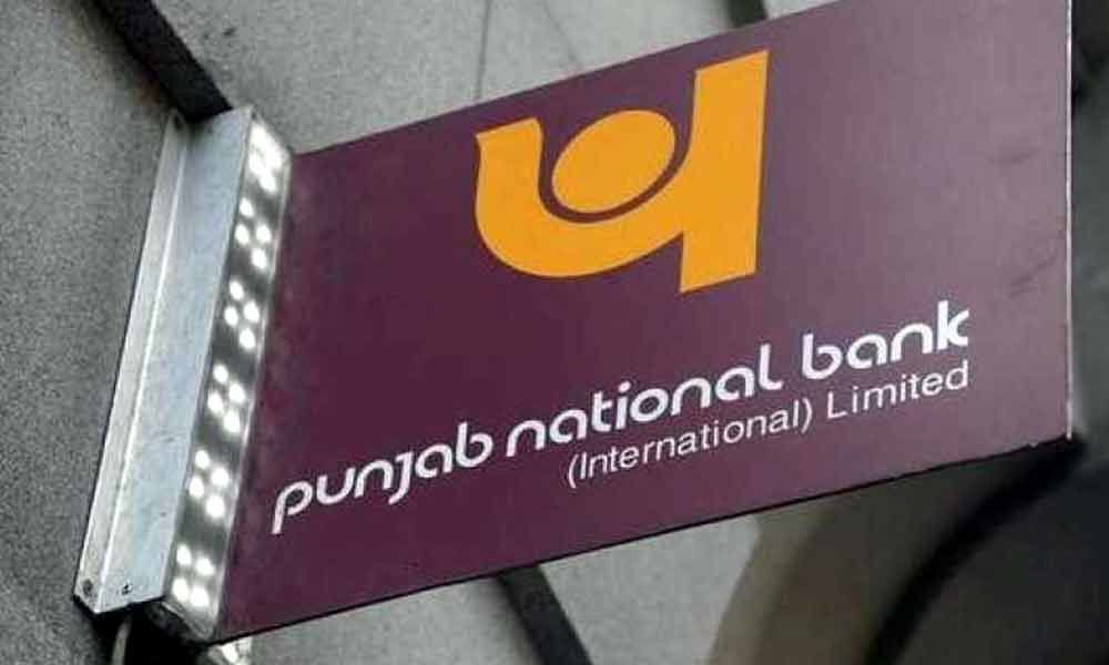 Punjab National Bank shares fall by 10 percent after BPSL fraud case