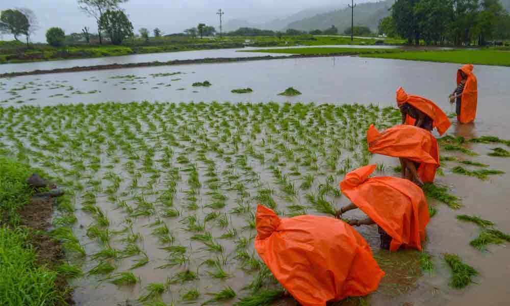 Late monsoon worrying, says Agriculture Minister Narendra Singh Tomar