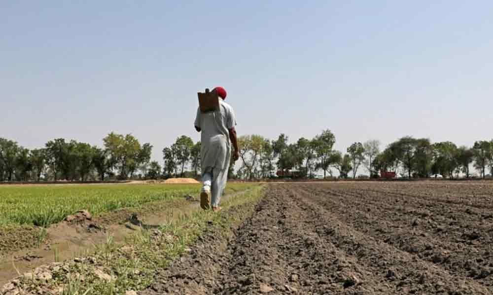 Worsening agrarian crisis needs Centres attention