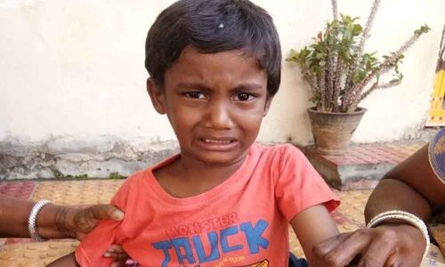 Basthi people scared of stray dog menace