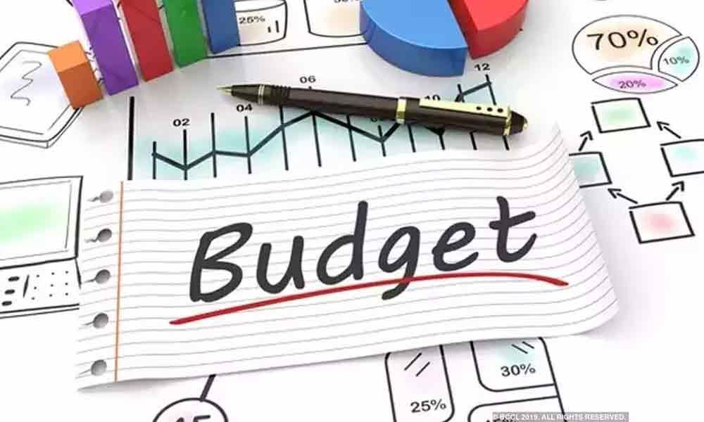 Budget with a long-term vision