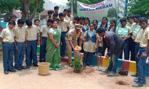 Plantation drive held
