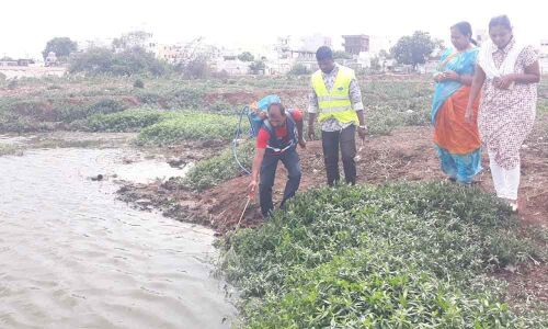 Civic staff told to curb mosquito menace