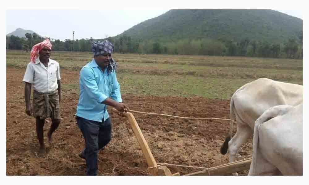 Paddy sowing hit by deficit rainfall in Vizianagaram