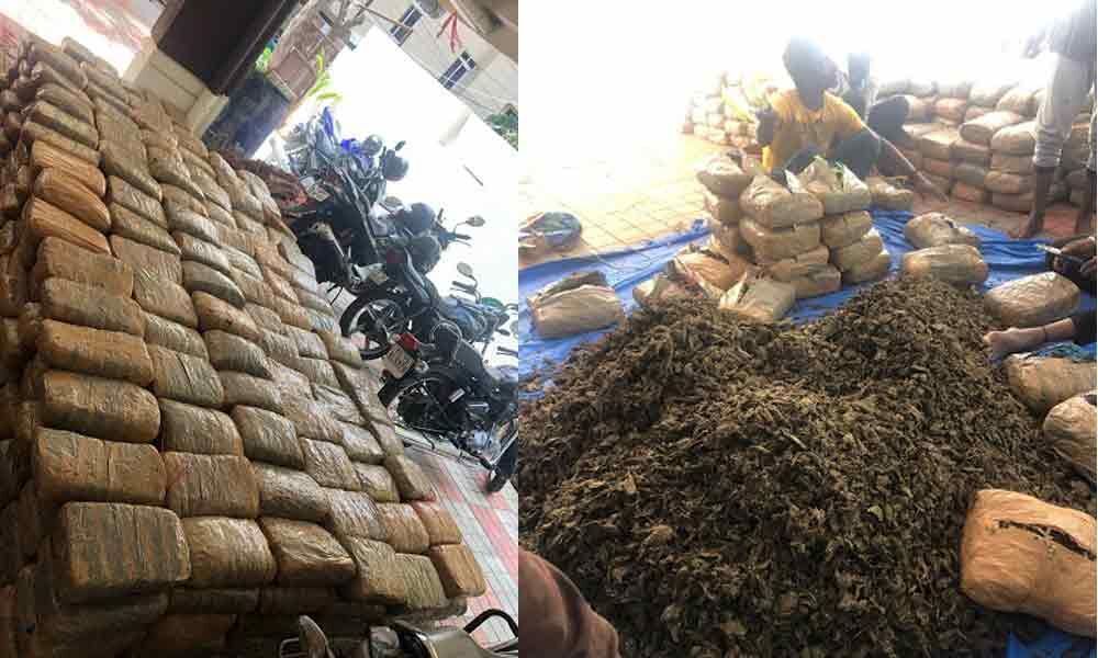 DRI Officials seized Rs 1.92 crore worth ganja, held two