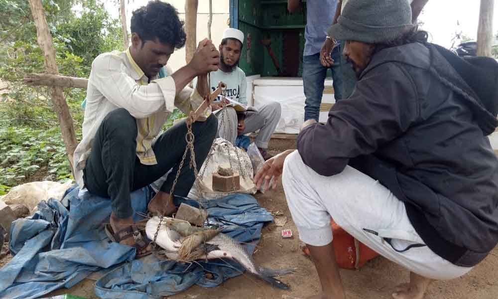 Fishermen fleeced by greedy middlemen