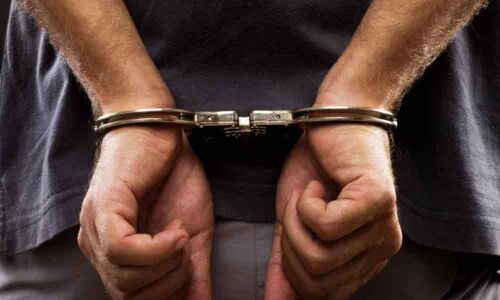 Chinese tycoon arrested for suspected child molesting: Report