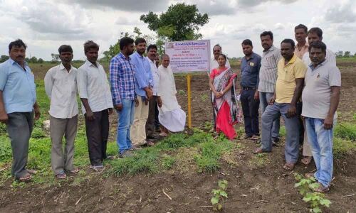 Temple lands taken over by endowment department