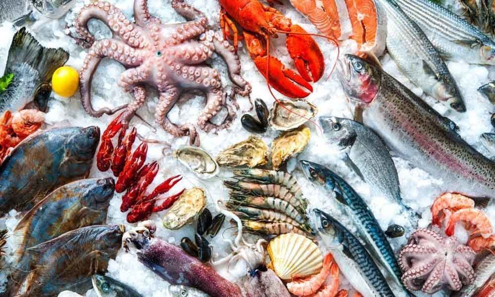 Marine fish production falls 9%