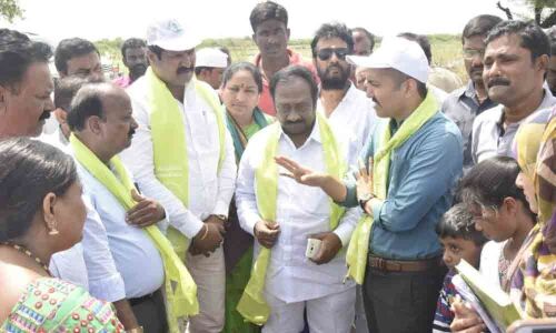 Focus on survival of plants in Warangal