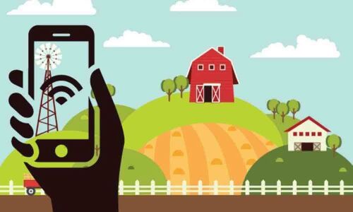 Need to strengthen ecosystem to encourage more startups in rural areas