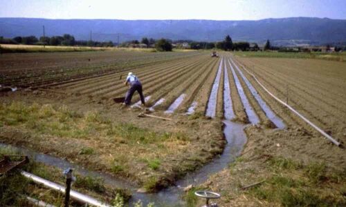 Effective use of water for booming agriculture in Telangana State
