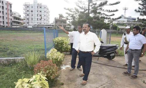 Collector initiates door-delivery of saplings to households