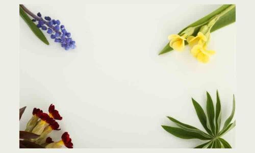 Pick the best and skip the rest