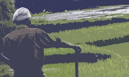 Government gears up to provide livelihood opportunities to rural poor