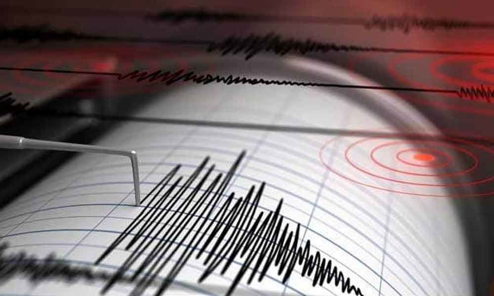 6.9 magnitude earthquake hits Australias beach resort town