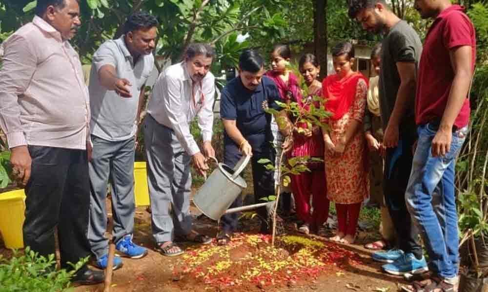 300 saplings planted at RSVP