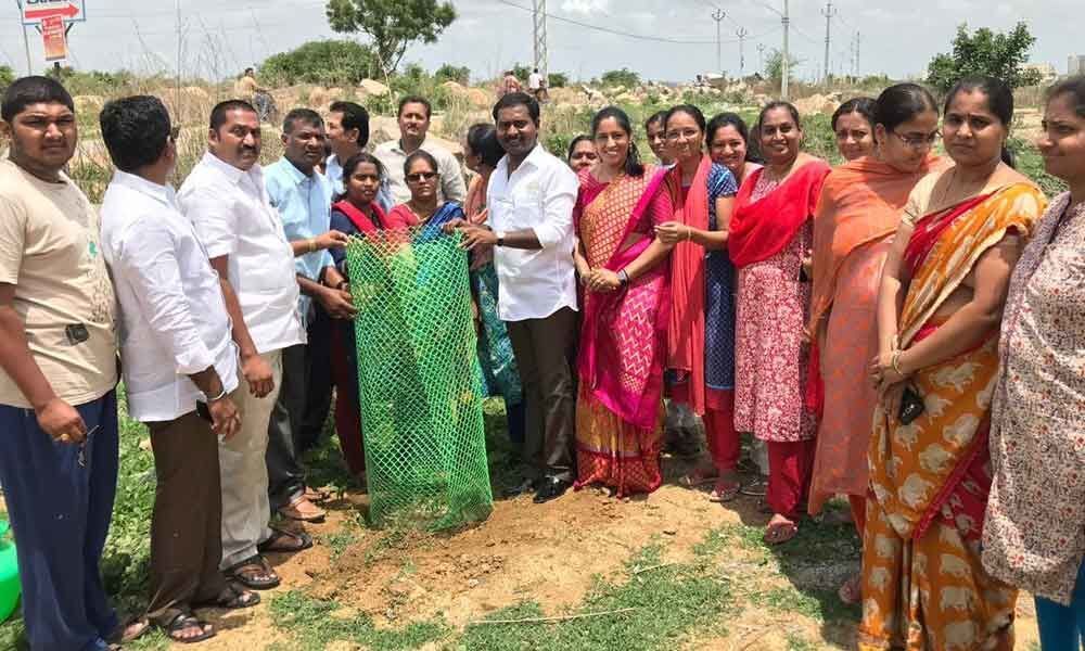 Call to plant saplings, protect environment