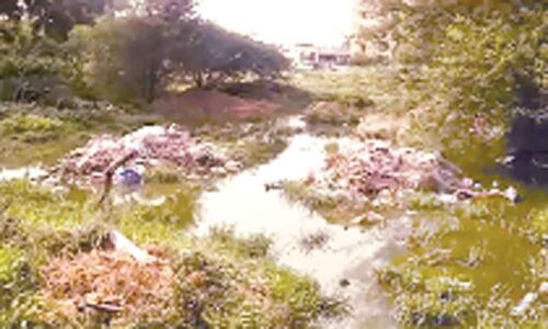 Sewage overflow a perennial problem