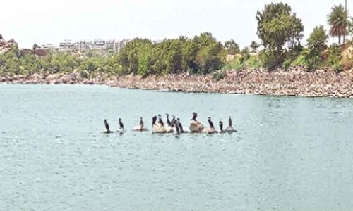 Public urged to care for water bodies