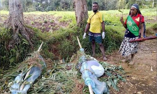 PNG to boost security after mass killing escalates tribal war