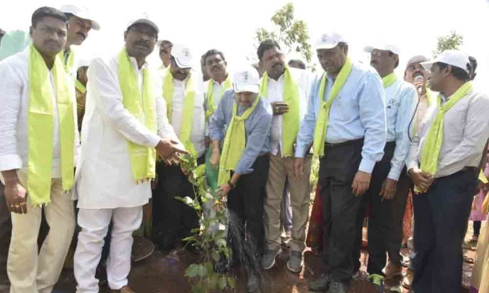 Call to protect plants in Warangal
