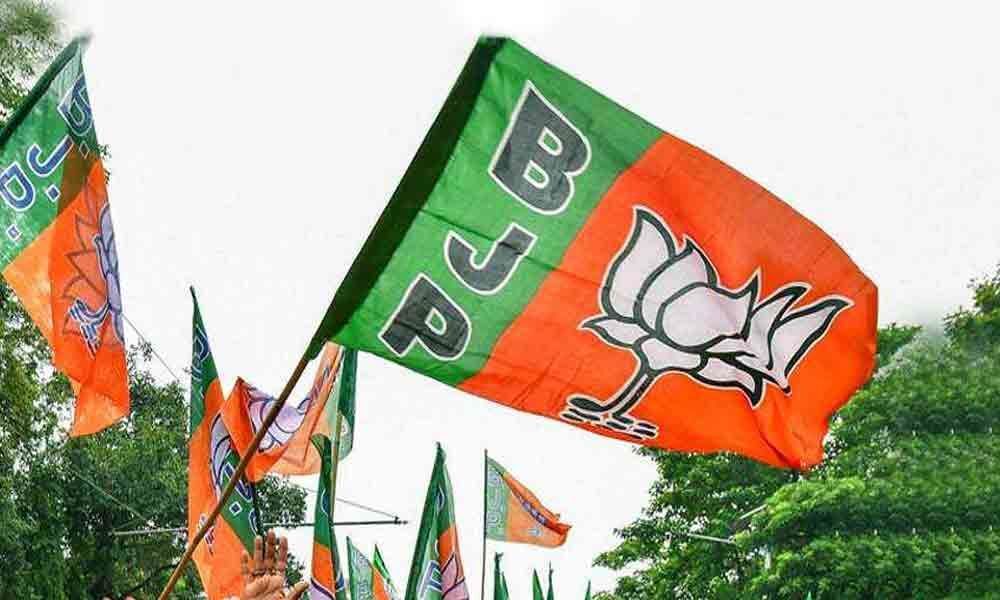 BJP names new party chiefs in UP, Maharashtra