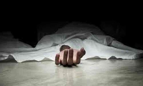 Woman dies, 8 hurt in road mishap