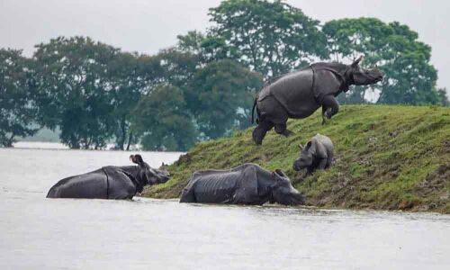 25 killed, over 2.5million affected in Bihar floods