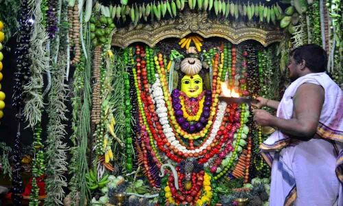 Fervour marks Shakambari Utsav