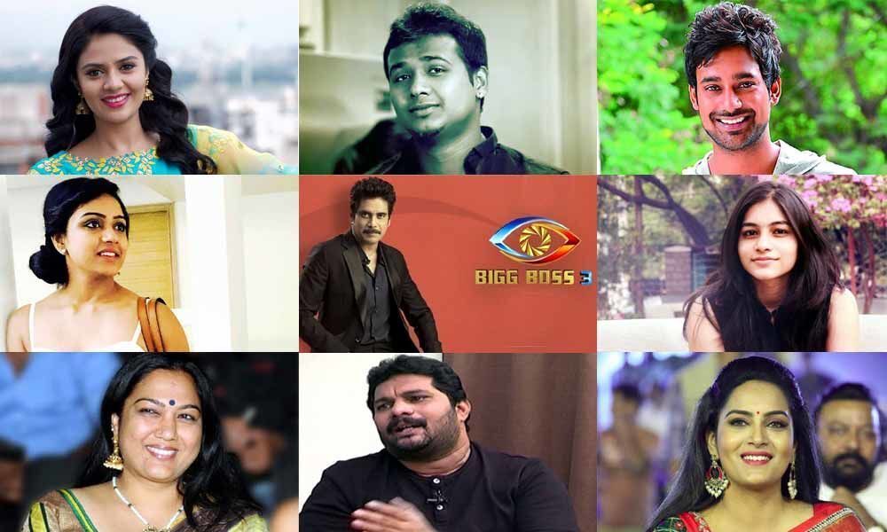 Here is the confirmed list of Bigg Boss 3 housemates
