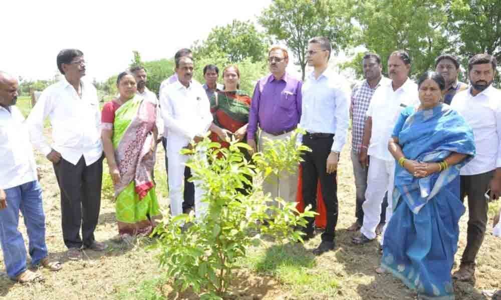Students to highlight water conservation campaign in Karimnagar