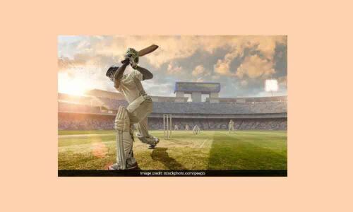 Scientists develop algorithm for affordable, high-performing bats