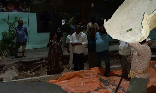 Mandadis surprise inspection of CC road work
