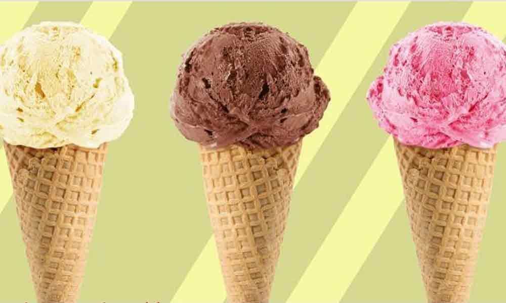 Dumont plans ice cream plant in Telangana State