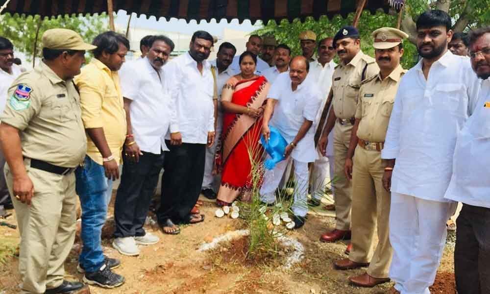 MLC Yegge plants saplings at Pochamma temple