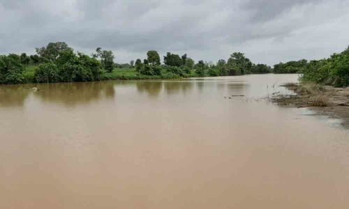 Preventing water wastage with check dams: Executive Engineer Bansilal