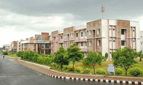 Acute staff crunch ails RIMS