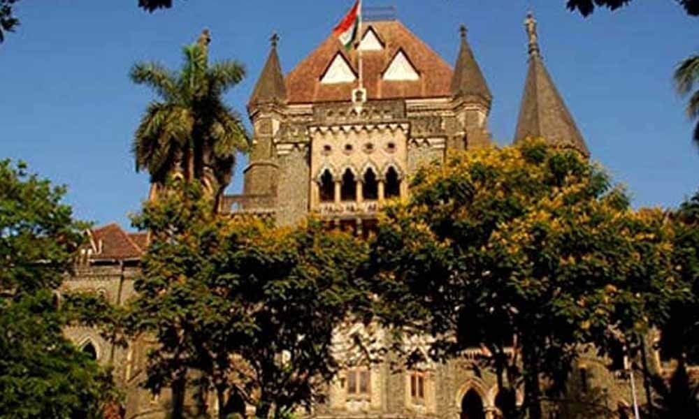 Bombay HC junks plea seeking ban on Alibaug se aaya hai kya? phrase