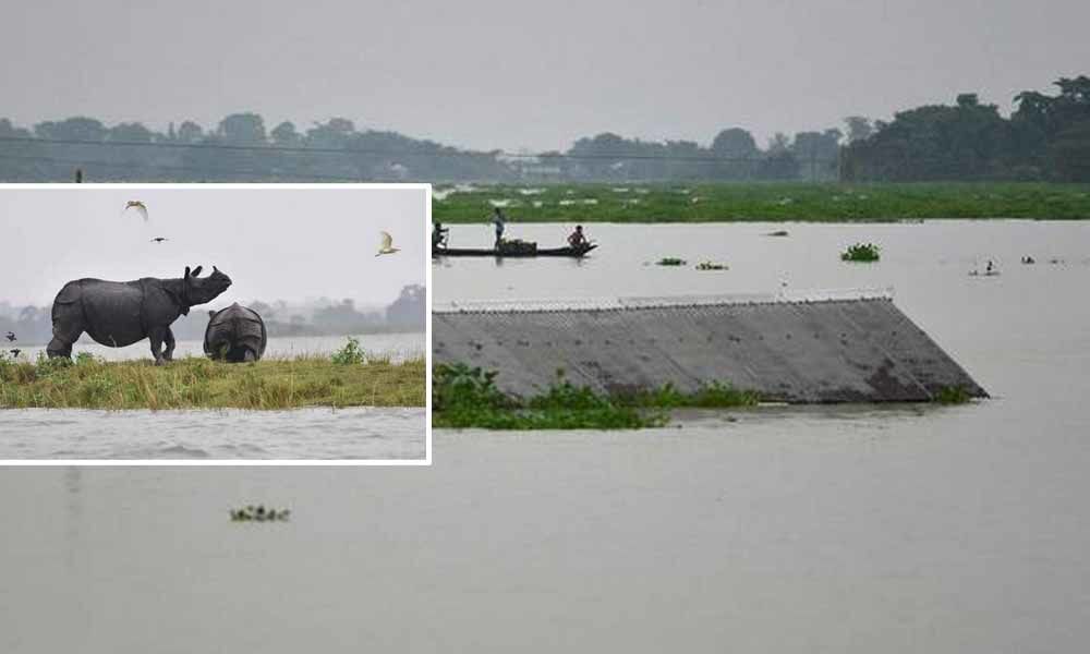 11 more die in Assam floods, toll rises to 47